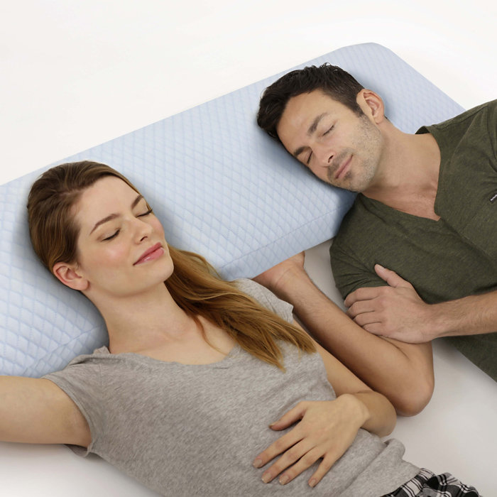 Arctic Sleep Sleep Medium Comfort Cool Gel Memory Foam Standard Cooling